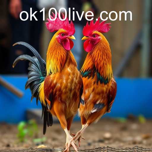 Exploring the Realm of Online Sabong: The Modern Face of an Ancient Sport